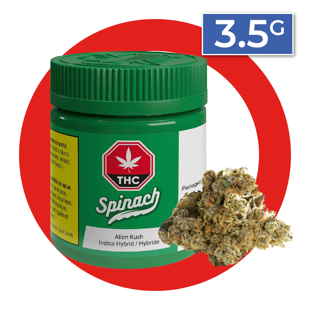 Spinach 3.5g Flower