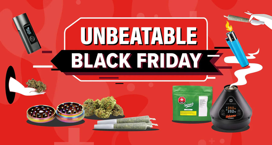 Ready for an UNBEATABLE Black Friday? | Canna Cabana Ready for an UNBEATABLE Black Friday? | Canna Cabana
