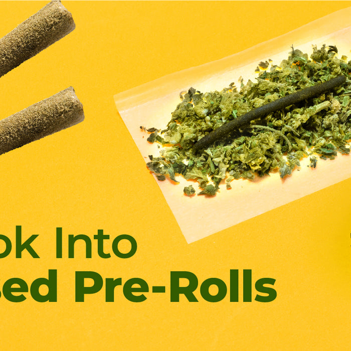 A Look Into Infused Pre-Rolls