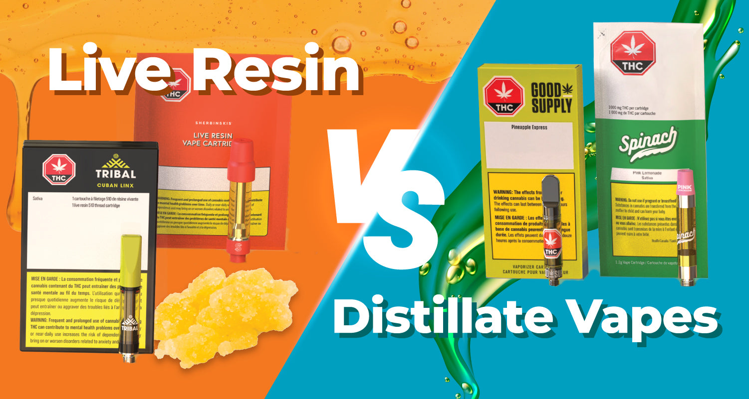 Live Resin vs Distillate Vapes