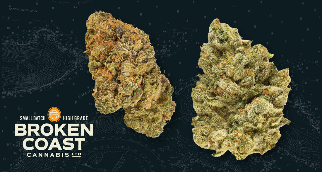 Broken Coast craft cannabis