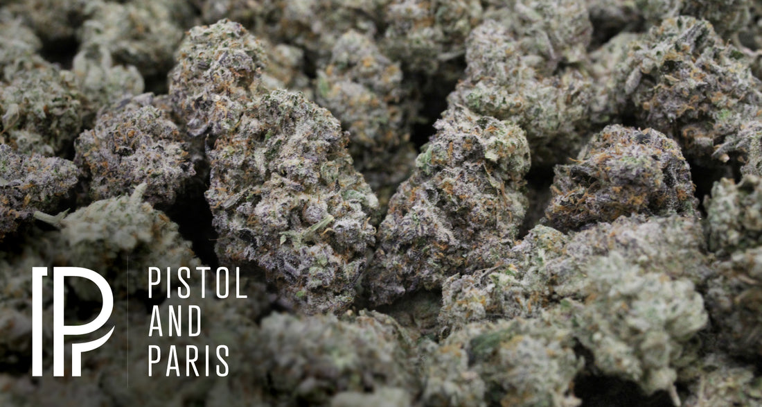 Craft cannabis from Pistol & Paris