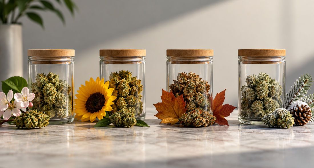 Cannabis and the Seasons: Building a Stash That Actually Matches the Time of Year