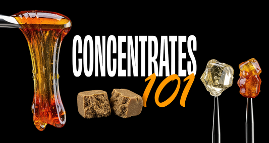 Concentrates 101