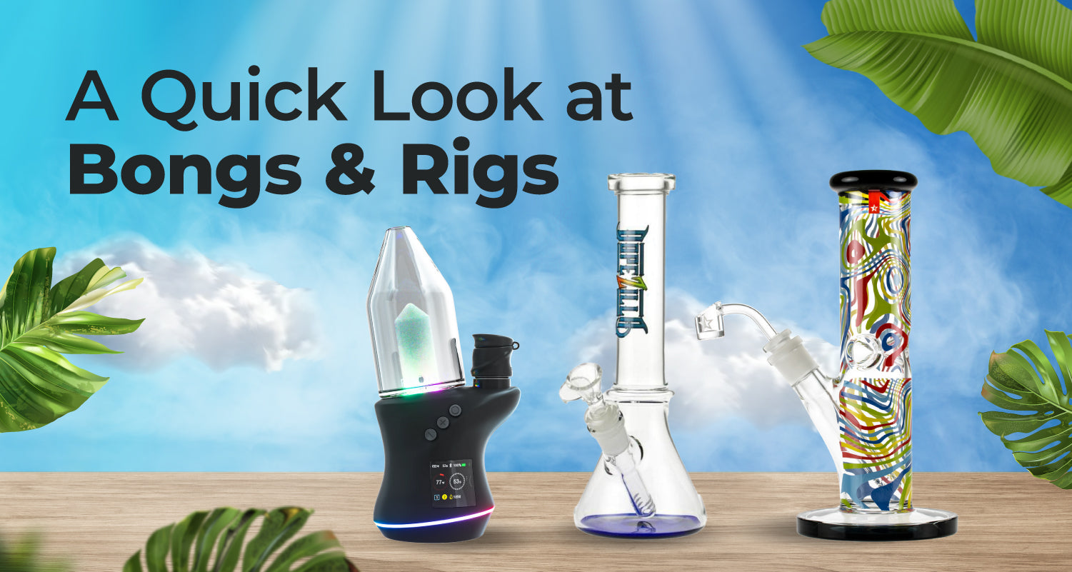 A Quick Look at Bongs & Rigs