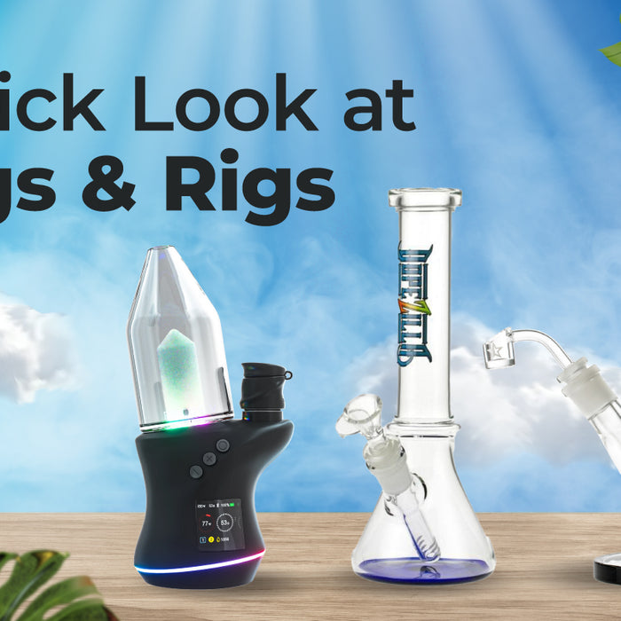 A Quick Look at Bongs & Rigs
