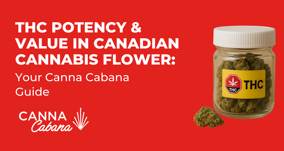 THC Potency & Value in Canadian Cannabis Flower: Your Canna Cabana Guide