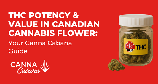 THC Potency & Value in Canadian Cannabis Flower: Your Canna Cabana Guide
