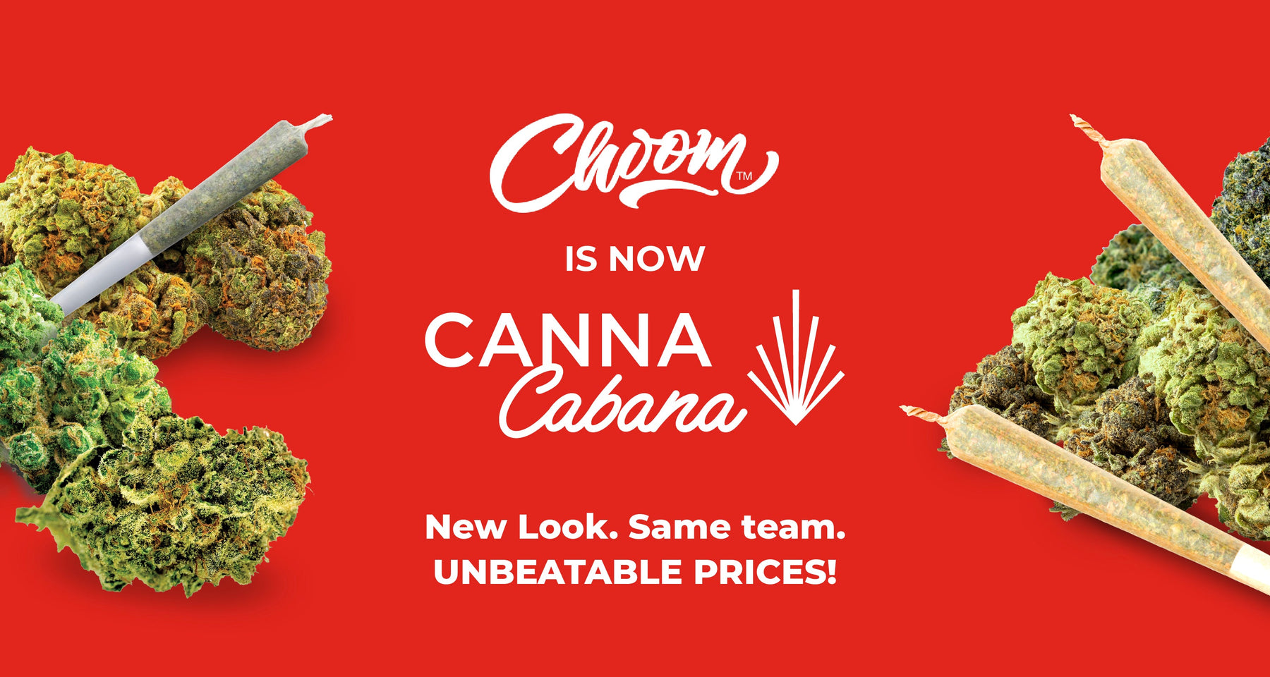 Welcome to Canna Cabana, Choom!