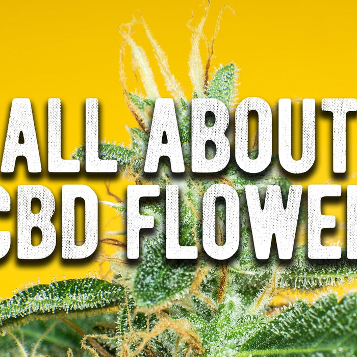 all about cbd flower