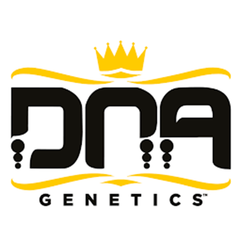 DNA Genetics at Canna Cabana
