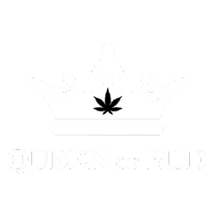 Queen Of Bud at Canna Cabana