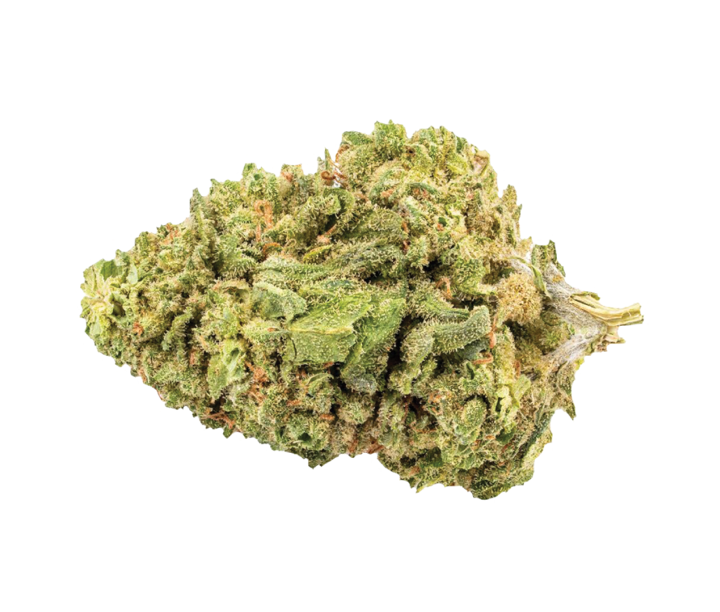 Sativa Weed Strains 1 Sativa In Canada Canna Cabana — Page 2