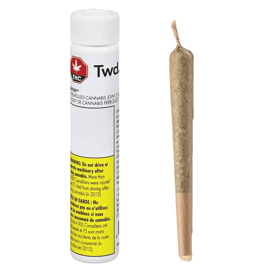 Close-up of the Sativa Pre Rolled 1 x 1 g packaging featuring a bright yellow logo and warning text on a dark background.