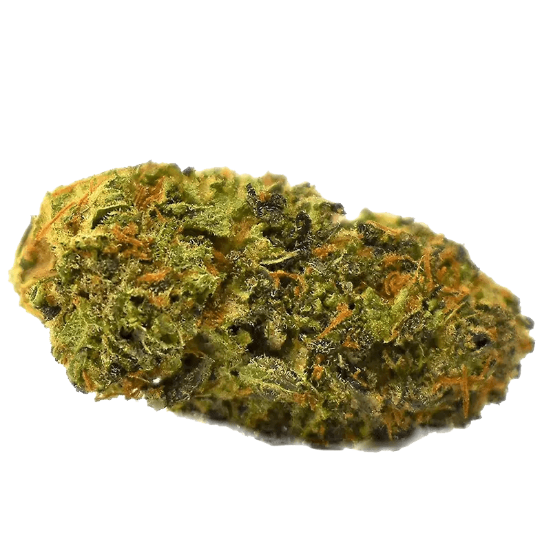 Color Cannabis Blueberry Seagal