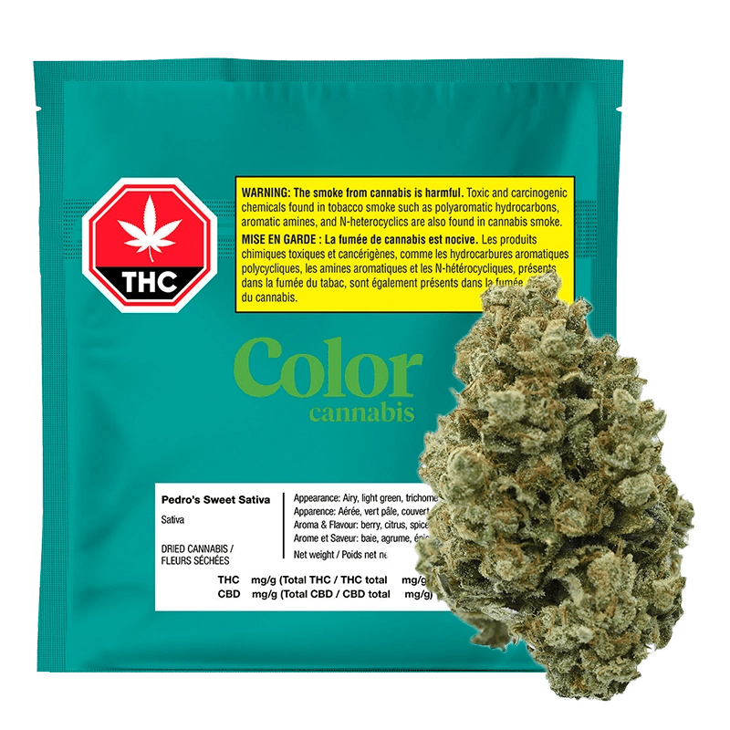 Color Cannabis Pedro's Sweet Sativa