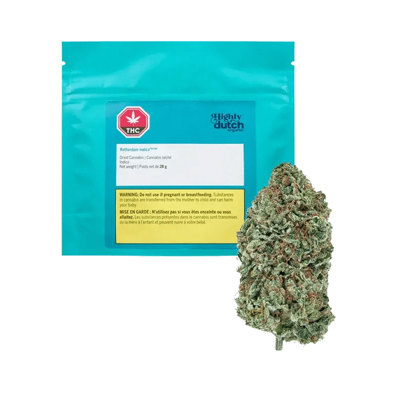 elfbar elfa kaufen Search - Telegram: @JAKEAXTON Where to buy weed in Rotterdam, buy  marijuana, buy weed near me, buy THC vapes, buy hash