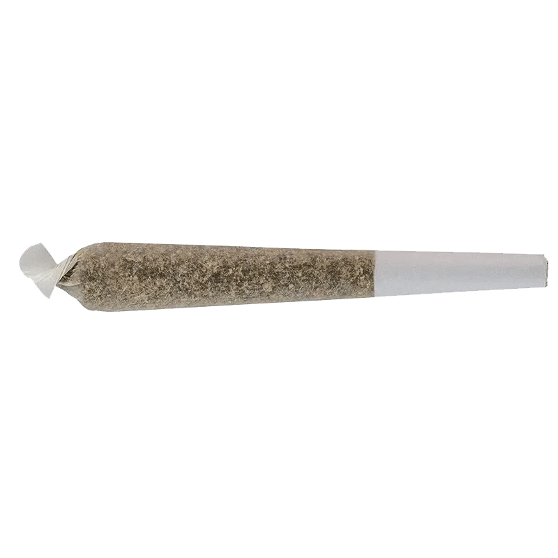 A close-up, angled view of the Cherry Bomb Pre Rolled 3 x 0.5 g pre-roll, showing its tightly packed flower and paper wrap.