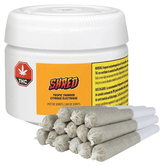 A close-up shot of the Tropic Thunder J's Pre Rolled 14 x 0.5 g pre-rolled joints against a black background with warning text.