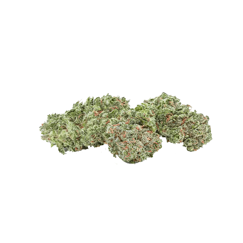 The Green Organic Dutchman Whole Flower