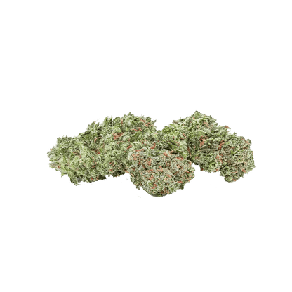 The Green Organic Dutchman Whole Flower