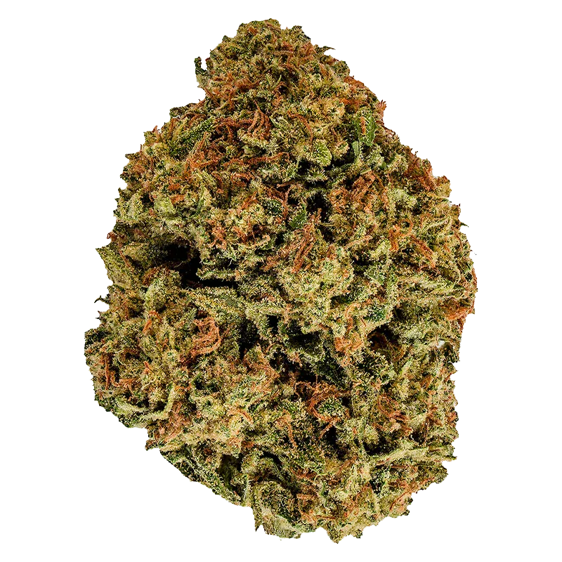 Close-up top-down view of a dense, conical bud of Cherry Bomb showing green and orange hairs and a frosty trichome coating.