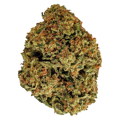 Close-up top-down view of a dense, conical bud of Cherry Bomb showing green and orange hairs and a frosty trichome coating.