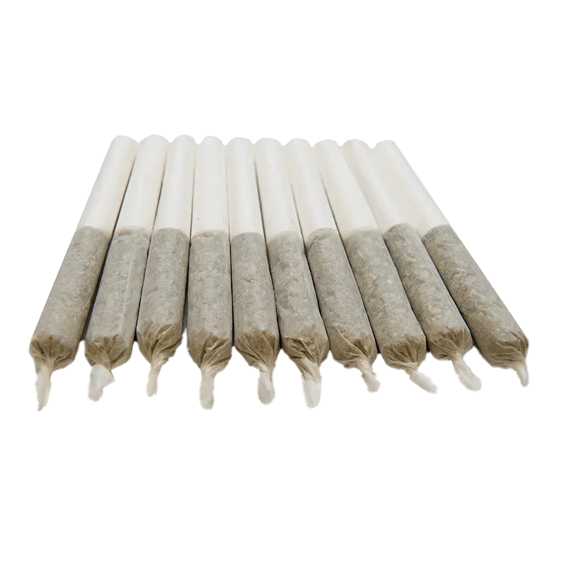 A close-up, overhead view of ten Mango Haze Pre Rolled 0.35 g pre-rolls neatly arranged in a row against a plain white background.