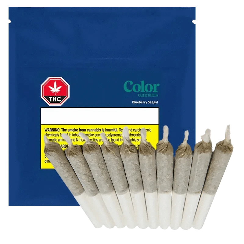 Front view of the Blueberry Seagal Pre Rolled 10 x 0.35 g package, displaying a colorful design with cannabis leaf iconography against a dark background.