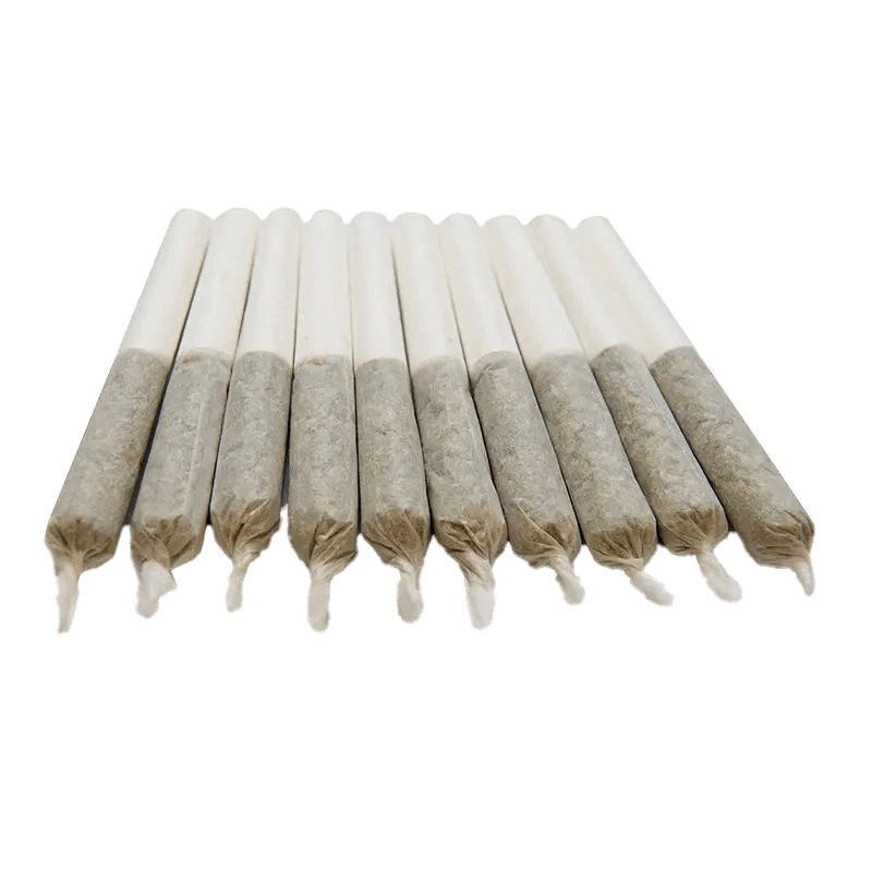 A side view of ten Blueberry Seagal Pre Rolled 0.35 g pre-rolls, neatly arranged against a plain white background.