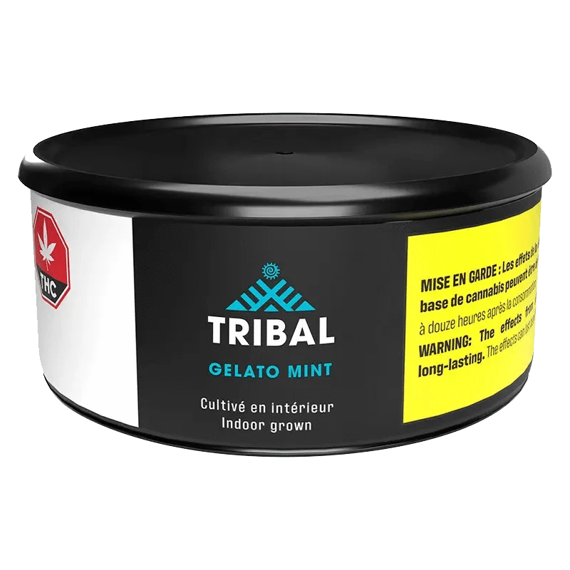 Front view of the Gelato Mint packaging with bold tribal lettering and French warning text.