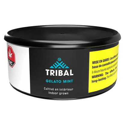 Front view of the Gelato Mint packaging with bold tribal lettering and French warning text.