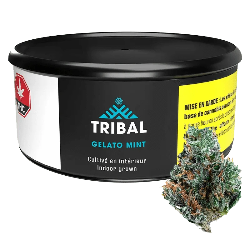 Front view of the Gelato Mint product packaging with bold text on a black background.