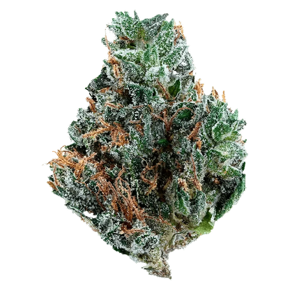 Close-up of the Gelato Mint bud, displaying a frosty, textured surface with a detailed view of its structure.