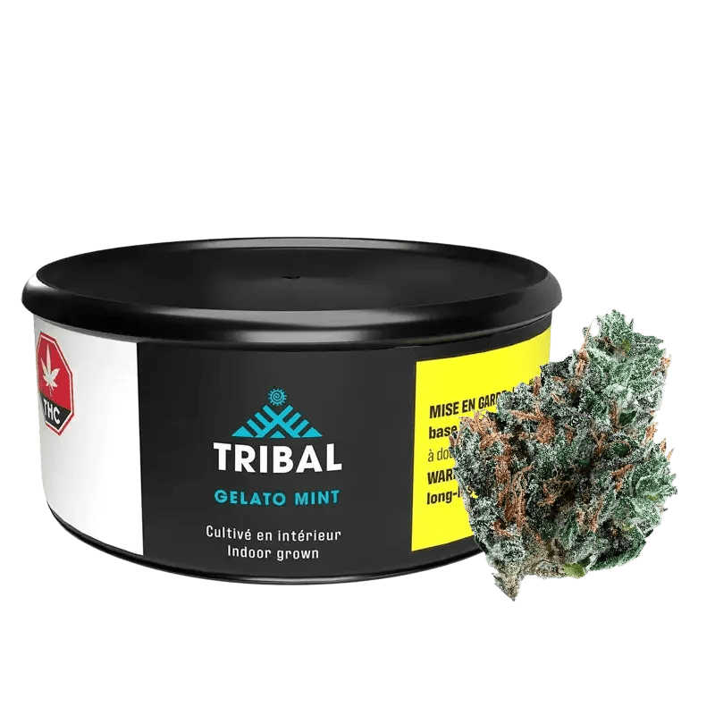 Tribal 3.5 g Whole Flower