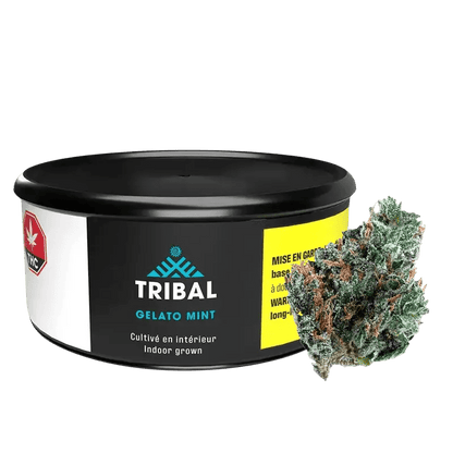 Tribal 3.5 g Whole Flower