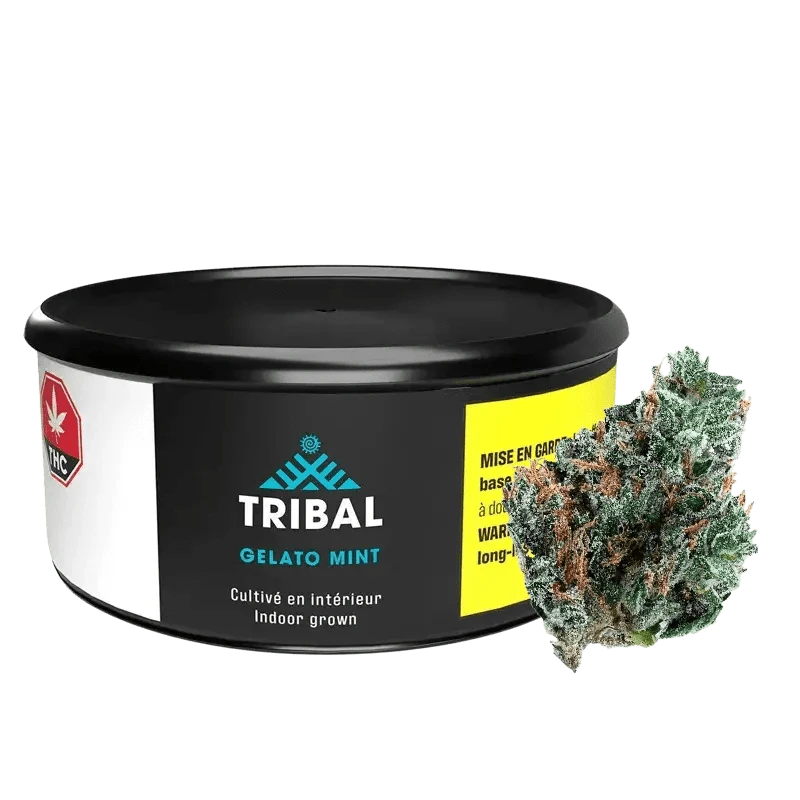 Tribal Gelato Mint Indica Cannabis for Adult Use Only: Lowest