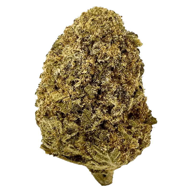 Front view of the Legendary Kush, showcasing its textured surface and simple, cylindrical shape.