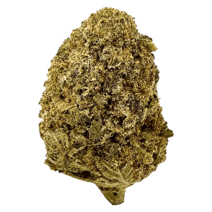 Front view of the Legendary Kush, showcasing its textured surface and simple, cylindrical shape.
