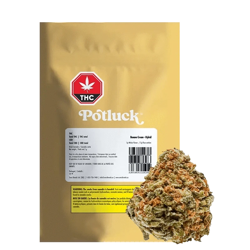 Potluck Banana Cream Indica Hybrid | Canna Cabana: Lowest Price