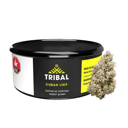 Tribal 3.5 g Whole Flower