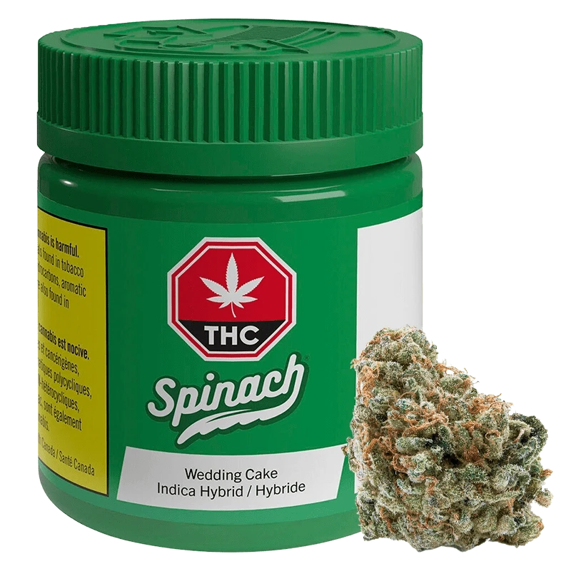 Spinach 28 g Spinach Wedding Cake Indica Buds - Buy Online Flower