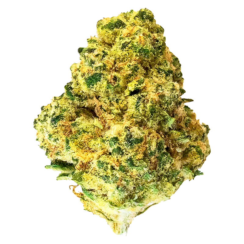 Close-up top-down view of a dense, lime-green Kush Cookies cannabis bud with orange hairs and frosty trichomes.