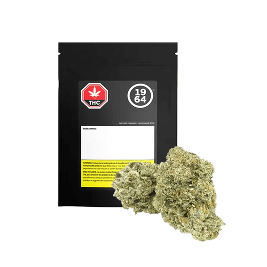 Close-up of Organic Comatose cannabis buds, showcasing a textured, green cluster against a dark backdrop.