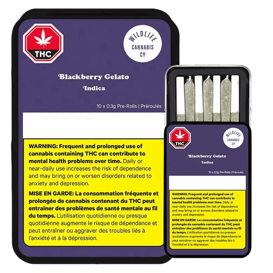 Front view of the “Blackberry Gelato Pre Rolled 10 x 0.3g” package with bold text on a dark background, warning about potential health risks.