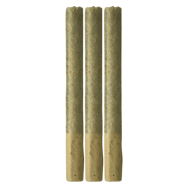 Front view of three Freedom Reserve Pre Rolled 0.5 g portions, evenly spaced against a plain white background.