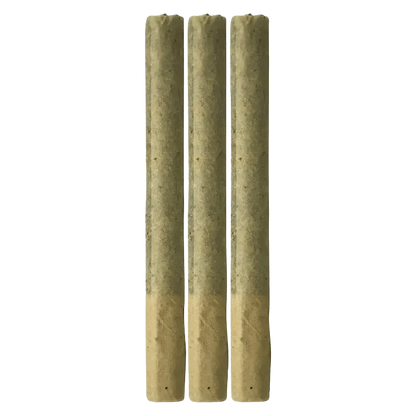 Front view of three Freedom Reserve Pre Rolled 0.5 g portions, evenly spaced against a plain white background.
