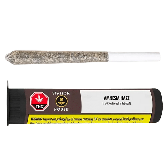 Front view of the Amnesia Haze Pre Rolled 1 x 0.5 g pre-roll against a dark background, showing the product’s packaging.