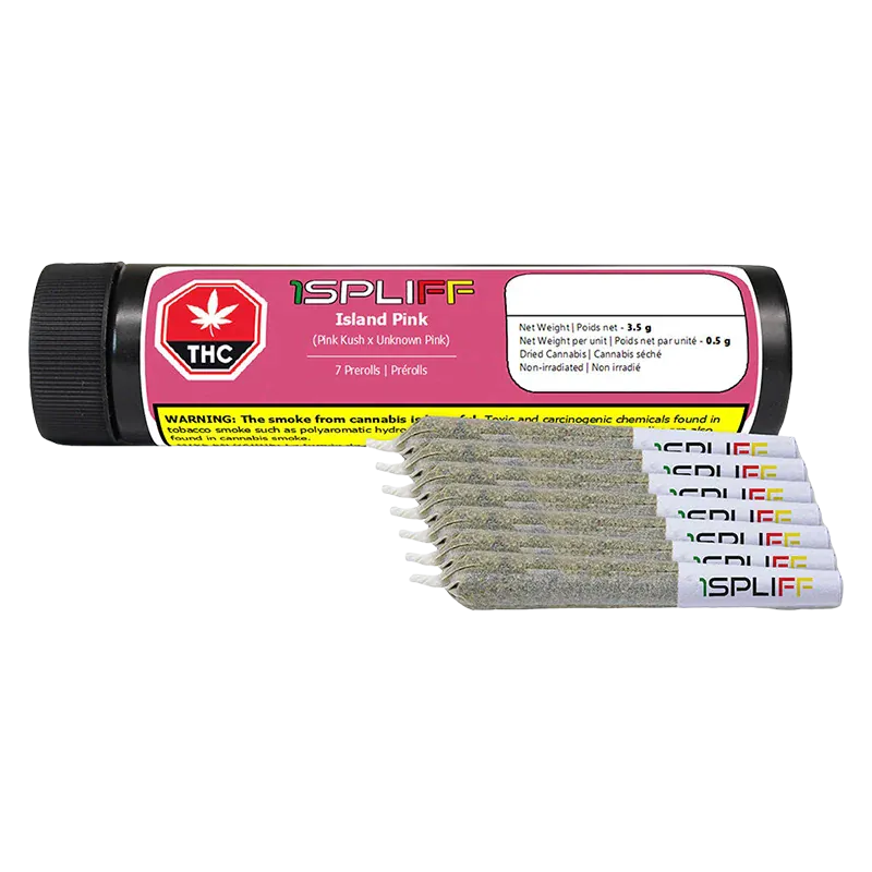 Front-facing shot of a black tube labeled 1SPLIFF Island Pink PR 7 x 0.5 g with seven pre-rolls fanned in front on a white background.