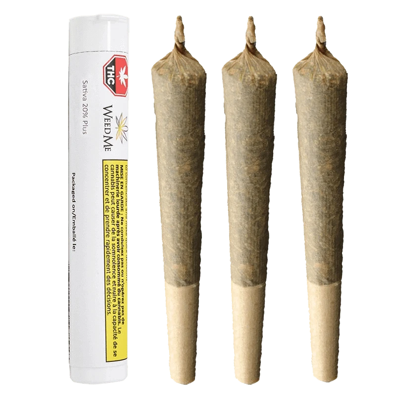 Close-up of the Sativa 20% Plus Pre Rolled 3 x 1 g packaging, displaying bold text on a white background.